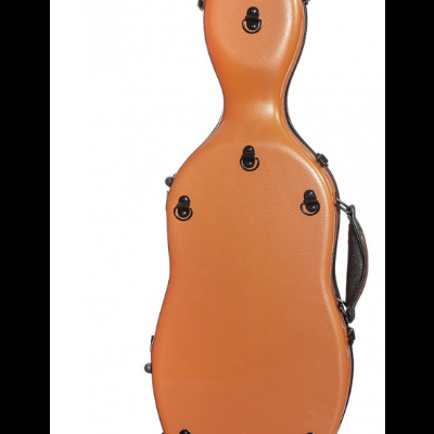 Estojo rígido castanho para instrumento musical com fechos pretos e pega