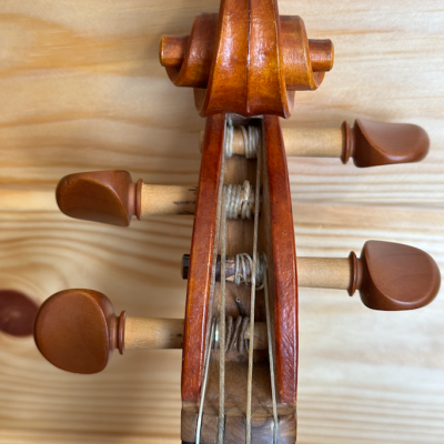 Cabeça de violino em madeira castanha com cravelhas e cordas visíveis