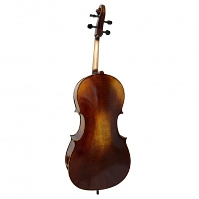Violino castanho escuro vista traseira