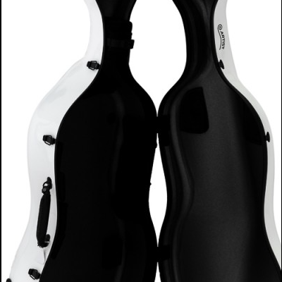 Estojo rígido branco com interior preto para instrumento musical, com alça e fechos pretos