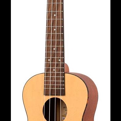 Ukulele de madeira clara com desenho de flores e borboletas