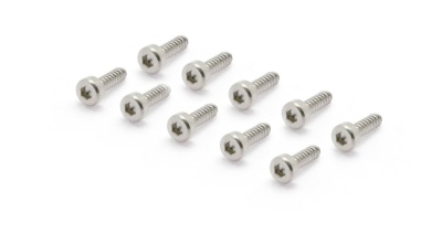 Dez parafusos pequenos de metal prateado com cabeça sextavada