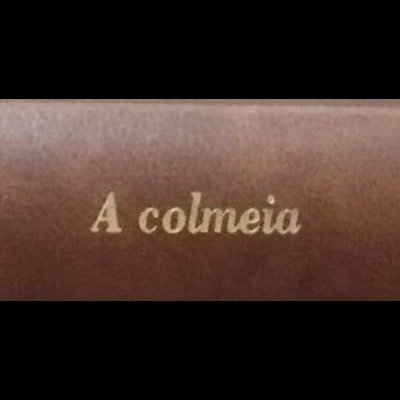 Livro capa dura castanha com título e autor em dourado