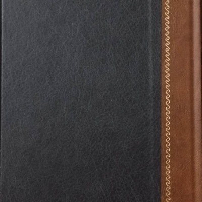 Capa de livro na cor preta com faixa castanha lateral e decoração dourada.