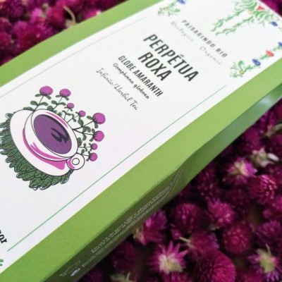 Caixa verde de chá perpétua roxa sobre flores roxas