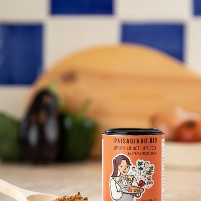 Frasco de condimento PAISAGINDO.BIO umami chinese afriçode com tempero em colher de madeira sobre bancada