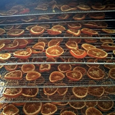 Fatias de laranja desidratadas em grelhas metálicas empilhadas
