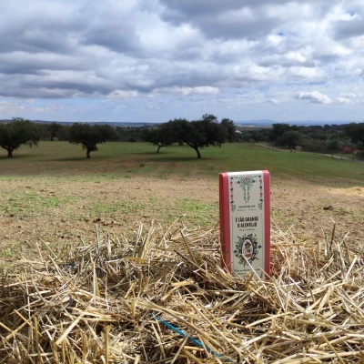 https://www.paisagindobio.pt/product/e-tao-grande-o-alentejo-2