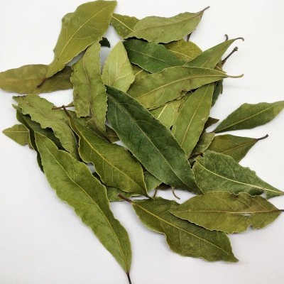 Folhas secas de louro em fundo branco