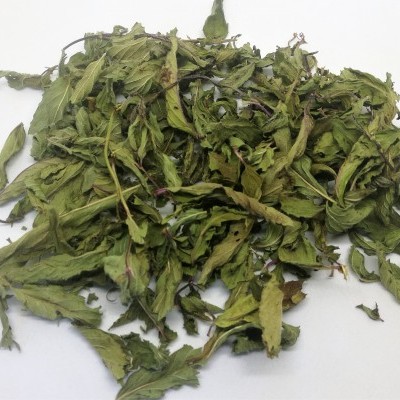 Folhas secas de hortelã verde sobre fundo branco