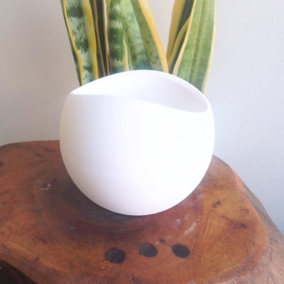 Vaso branco arredondado com planta em madeira natural