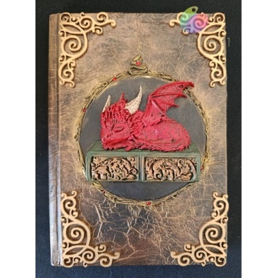 Livro com capa texturizada marrom e dragão vermelho 3D