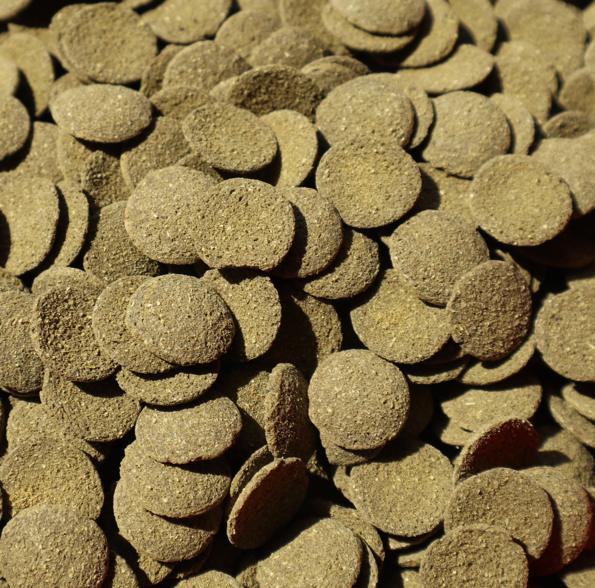 Waffers de Algas Pastilhas castanhas pequenas com textura rugosa amontoadas