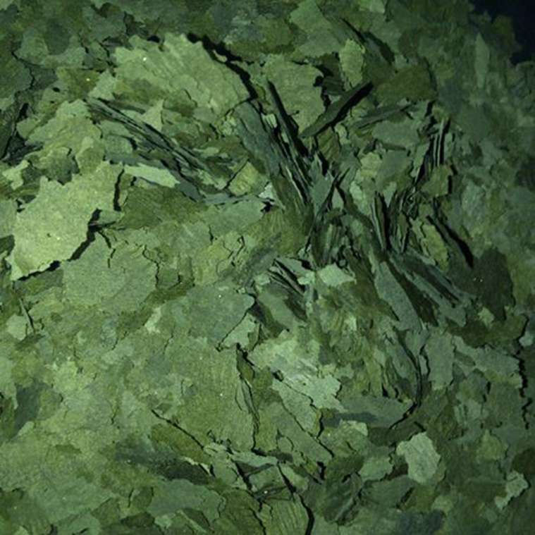 Flocos Spirulina 30% flocos verdes secos que parecem folhas trituradas com textura quebradiça