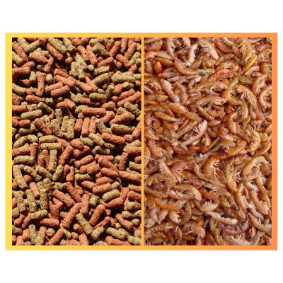 Pellets multicoloridos e camarões pequenos lado a lado