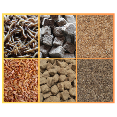 Seis tipos diferentes de alimentos para animais em compartimentos quadrados.