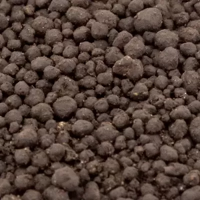 Grânulos castanho escuro de textura rugosa sobre fundo neutro