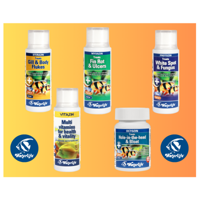 Cinco frascos de medicamentos para peixes da marca Waterlife com etiquetas coloridas sobre fundo laranja