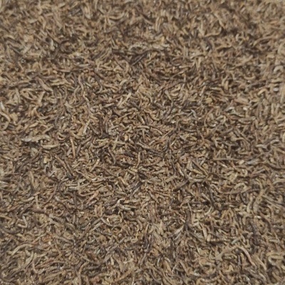 Insetos secos castanhos claros e escuros num amontoado