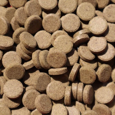 Comprimidos redondos castanhos claros com textura granulada