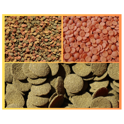 Três tipos de pastilhas coloridas em tons de castanho, vermelho e verde, dispostas em secções distintas sobre fundo preto.