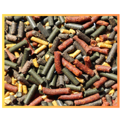 Pellets coloridos de várias cores em superfície plana com moldura amarela