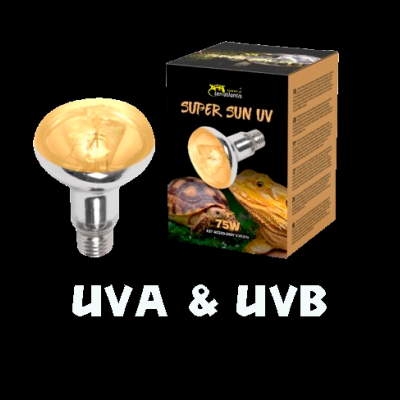 Lâmpada Super Sun UV para répteis com caixa com imagens de tartaruga e lagarto