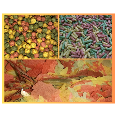 Vários tipos de ração para peixes em diferentes cores e formas
