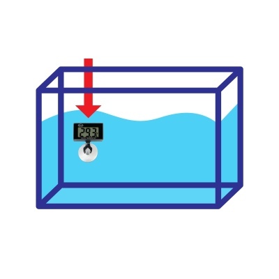 Aquário azul com termómetro digital a mostrar 29.3°C