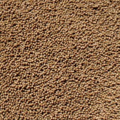 Pequenos grânulos marrons alinhados de forma uniforme