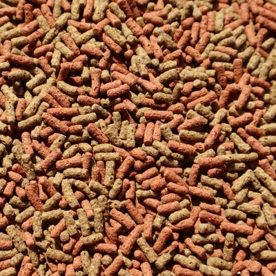 Pellets de ração para peixe vermelhos e verdes em grande quantidade