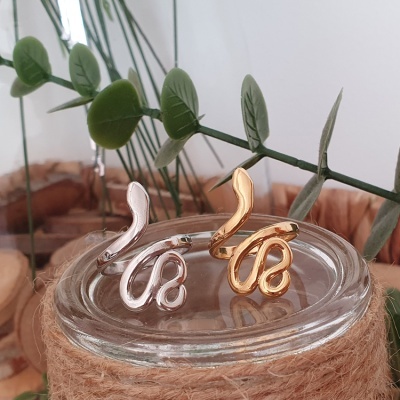 Anéis dourado e prateado com design abstrato sobre recipiente de vidro com corda de sisal e folhas verdes ao fundo