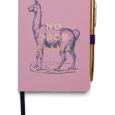 Caderno rosa com lhama azul e texto NO PROB LLAMA e caneta dourada