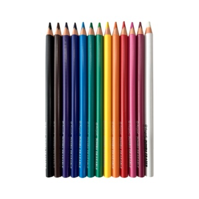 Doze lápis de cor em várias cores alinhados sobre fundo branco