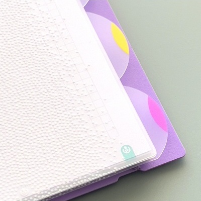 fichários com capa plástica translúcida e separadores coloridos