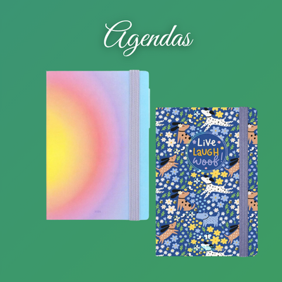 Duas agendas com elásticos, uma multicolorida e outra azul com desenho e texto