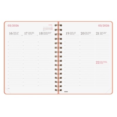 Agenda aberta com datas de março de 2026 e marcações horárias.