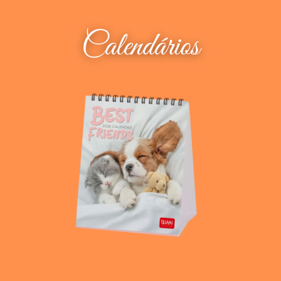 Calendário de mesa com foto de cão e gato deitados lado a lado e texto BEST FRIENDS 2024 CALENDAR