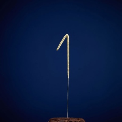 Agulha de costura metálica fina inserida em tecido castanho