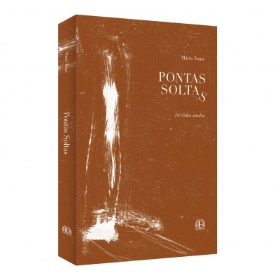 Capa de livro castanha com texto e detalhes brancos