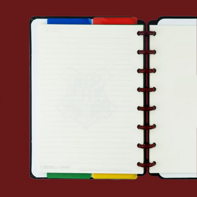 Caderno aberto com separadores coloridos e encadernação em anéis sobre fundo vermelho