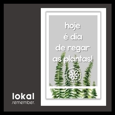 Póster decorativo cinzento com texto branco e folhas verdes de samambaia