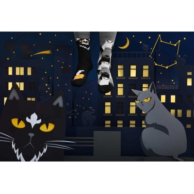 Par de meias com desenho de gatos coloridos sobre fundo noturno ilustrado
