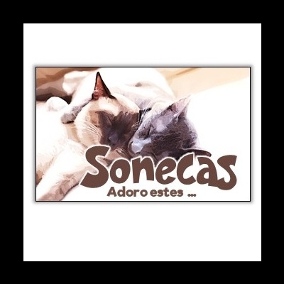 Dois gatos deitados juntos com texto 'Sonecas Adoro estes ...'