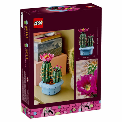 Set LEGO cacto em flor em embalagem roxa com imagem do produto montado e flor rosa