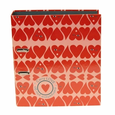 Arquivo com padrão de corações vermelhos com olhos em fundo rosa e texto Carry LOVE