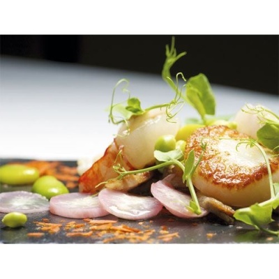 Prato gourmet com vieira dourada, rabanetes e microhortaliças