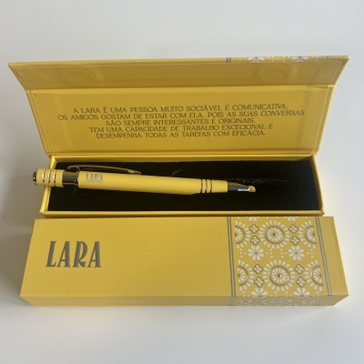 Caixa amarela com caneta amarela e texto em português