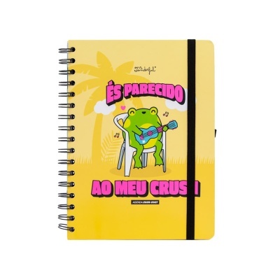 Caderno amarelo com ilustração de rã a tocar guitarra e texto em rosa.
