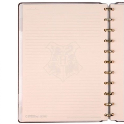 Caderno aberto com páginas de linhas e espiral metálica